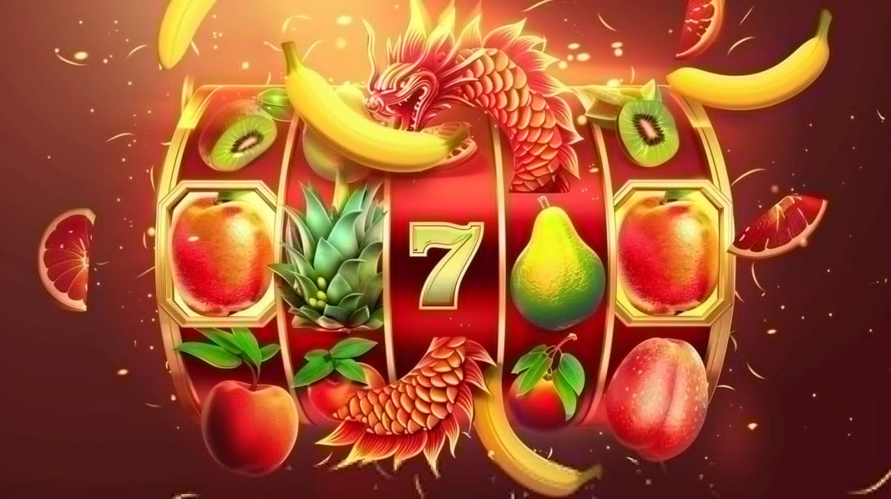555win app
